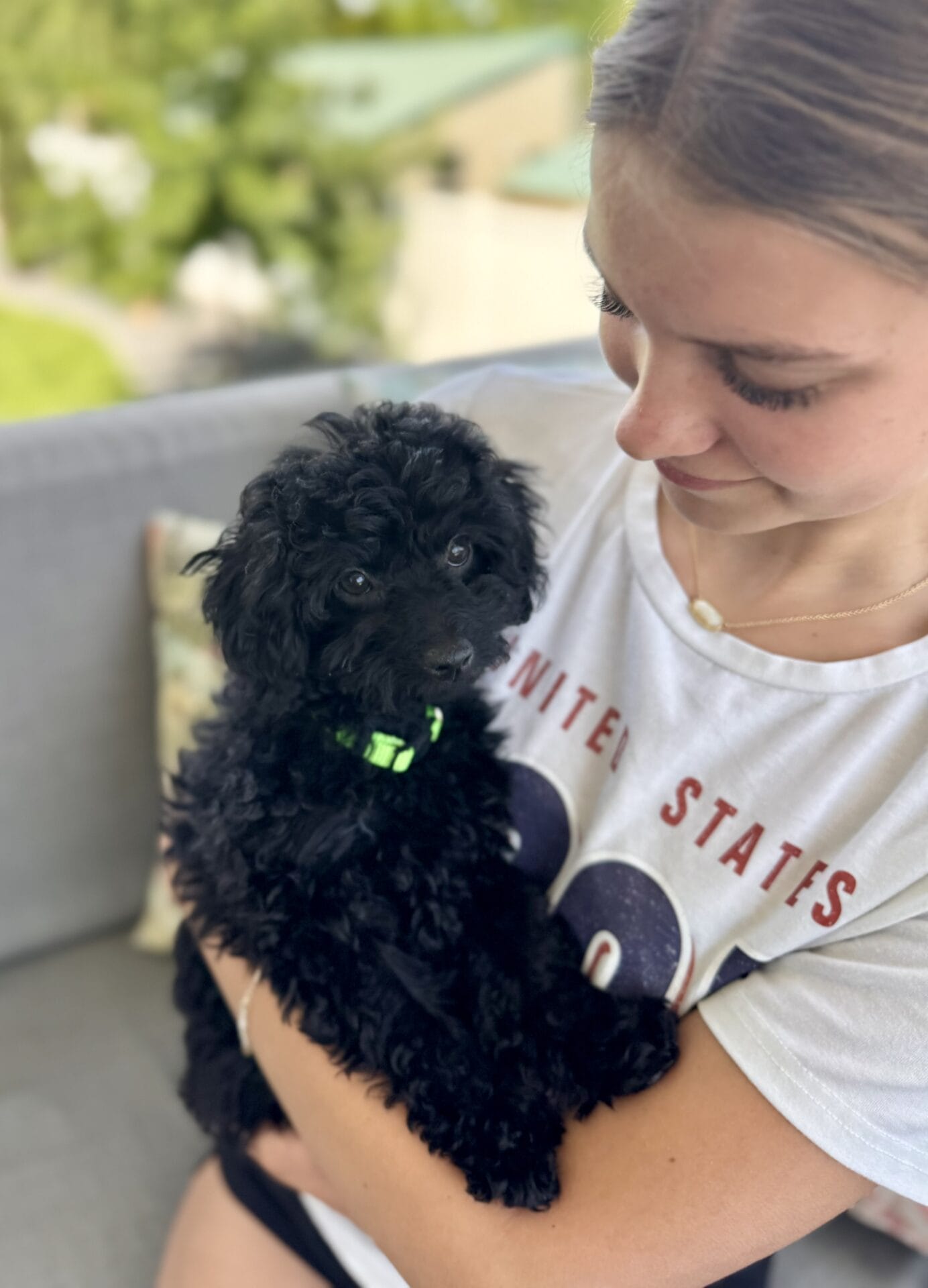 Hopper - Micro Labradoodle Boy - Image 27