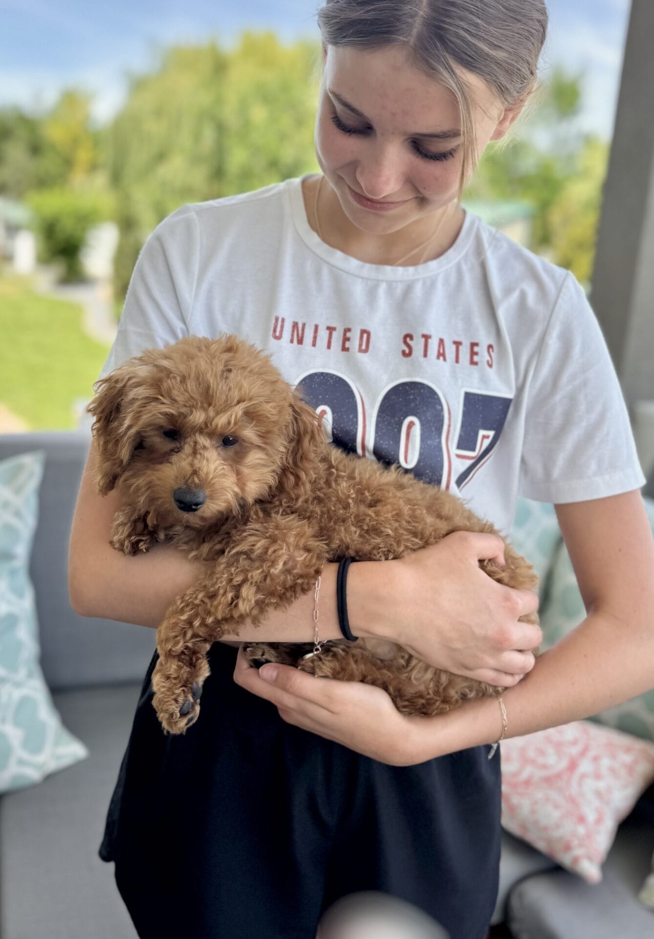 Forrest - Teacup Labradoodle Boy - Image 36